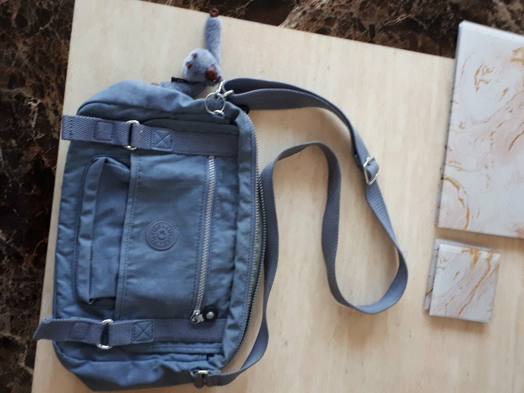 bag with monkey attached